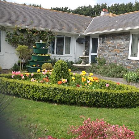 Estuary View Farm Bed and Breakfast Kingsbridge  Εξωτερικό φωτογραφία
