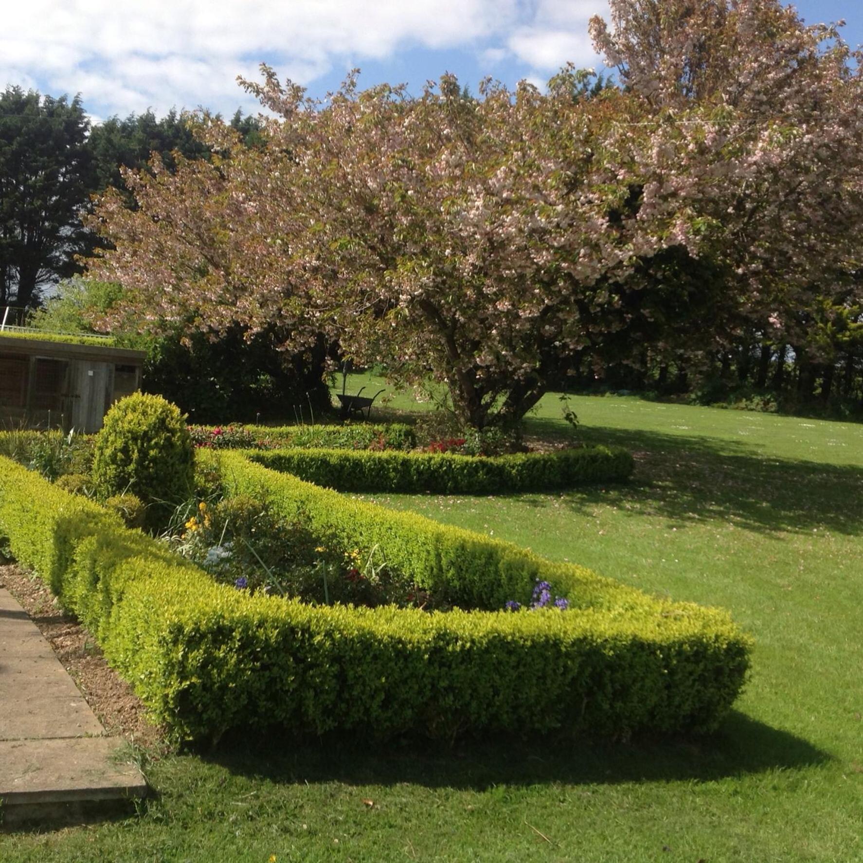Estuary View Farm Bed and Breakfast Kingsbridge  Εξωτερικό φωτογραφία